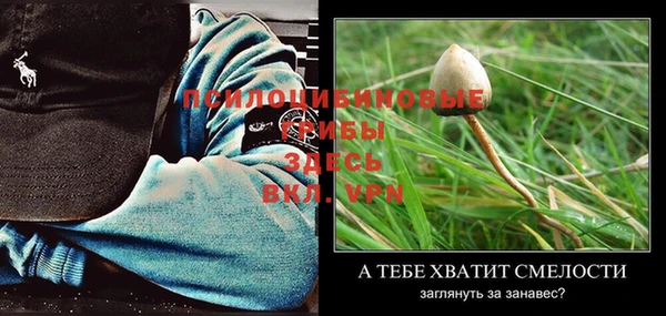 дмт Белокуриха