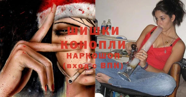 дмт Белокуриха