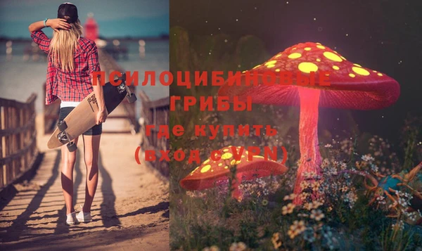 дмт Белокуриха