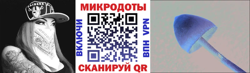mega онион  Полесск  Галлюциногенные грибы мицелий 